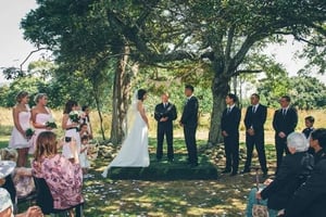 Image Preview - 0