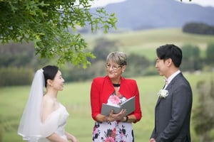 Image Preview - 2